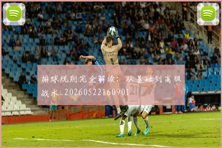排球规则完全解读：从基础到高级战术_20260522160901